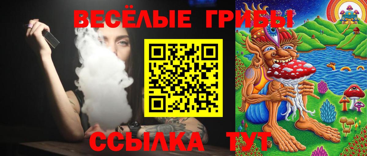 Галлюциногенные грибы Psilocybine cubensis Бугуруслан